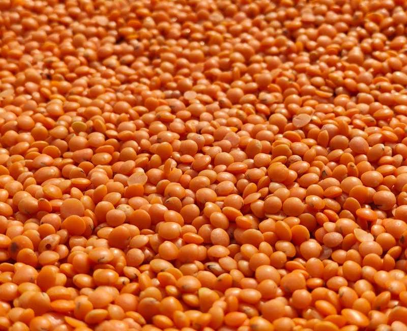 Explore os melhores alimentos para anemia e entenda como uma dieta rica em ferro combate a deficiência. Melhore a sua energia e bem-estar.