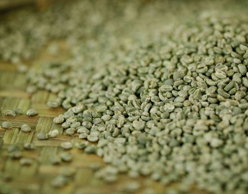 Descubra o potencial do café verde para emagrecer. Entenda como funciona, qual a dosagem segura, os seus benefícios reais e possíveis efeitos secundários.