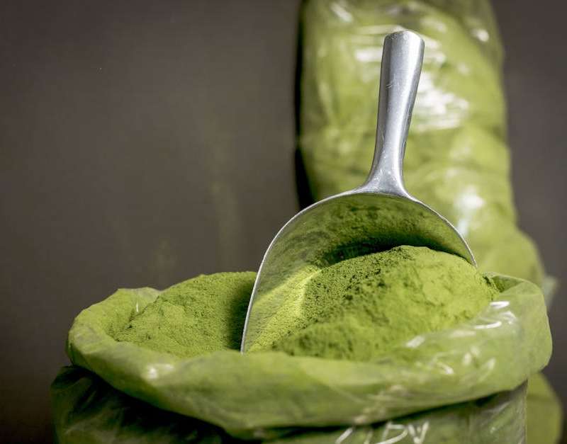 Análise ao Moringa Actives: composição, benefícios reais da moringa oleifera, efeitos secundários e onde comprar com segurança.