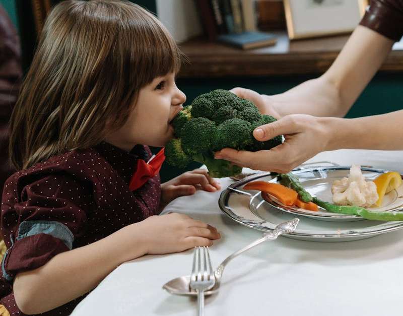 Garanta uma nutrição infantil equilibrada com estratégias e dicas de alimentação saudável. Este guia oferece orientações para desenvolver hábitos alimentares adequados.