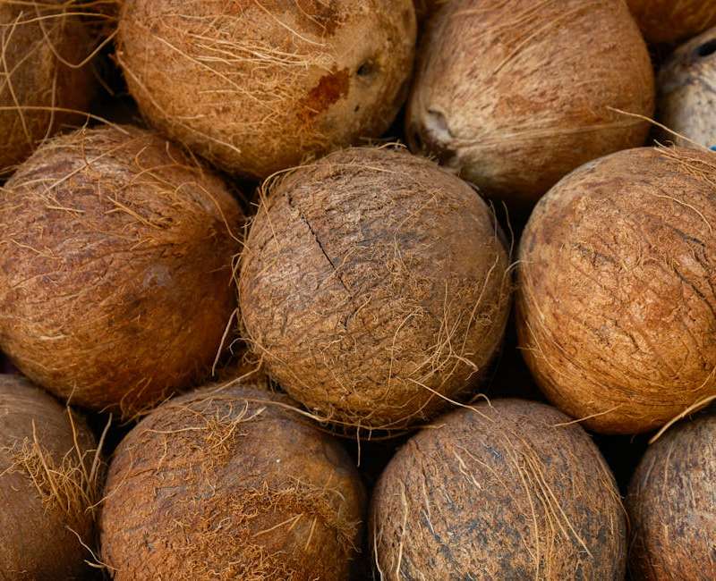 Avalia o óleo de coco Amazon de 950ml: analisa a qualidade, origem e usos. Descobre se este óleo de coco virgem compensa pelo preço.