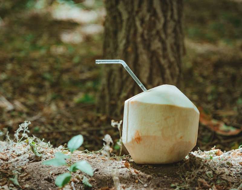 Analisamos o óleo de coco Naturitas Essentials: descobre os seus benefícios para a saúde e beleza da pele e cabelo. Verifica se é o ideal para ti.