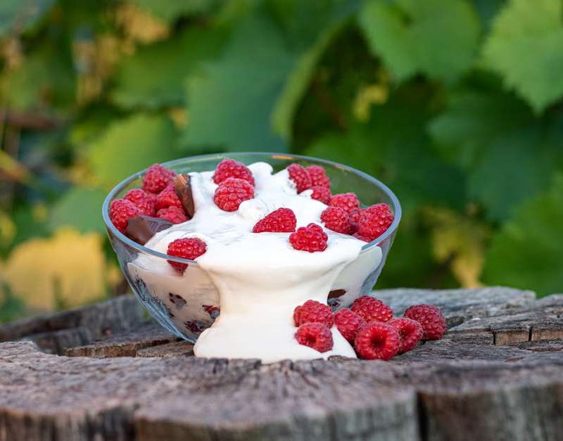 Saiba como prebióticos e probióticos atuam na saúde digestiva e quais alimentos incluir na dieta para melhorar o intestino.