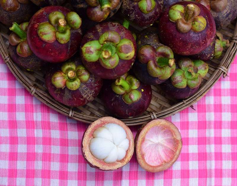 Tudo sobre a Sakai Garcinia Cambogia 500mg: composição, dose, eficácia, segurança e se vale o preço acessível para perda de peso.