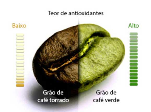 Grão de Café Verde